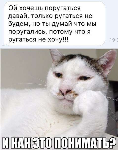 Прикольные фотомемы (30 шт)