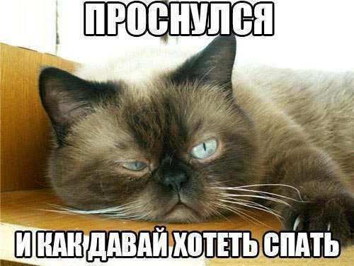 Новые прикольные фотомемы (32 шт)