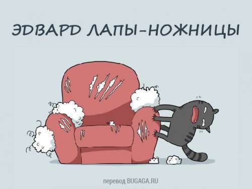 Разновидности котов: а какой кот у тебя? (12 шт)