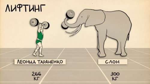 Спортивные достижения человека по сравнению со способностями животных (4 фото)