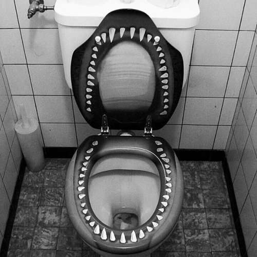 Необычные туалеты по всему свету (18 фото)