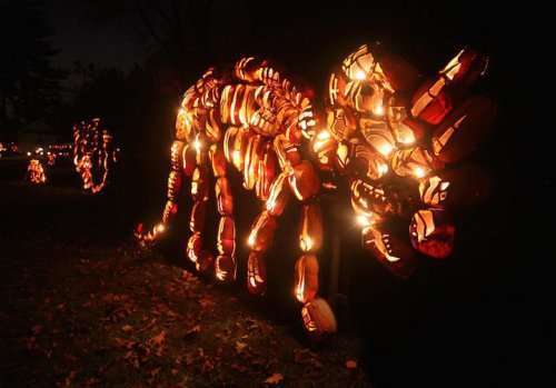 Карвинг по тыкве, или Оригинальные Светильники Джека на Хэллоуин (20 фото)