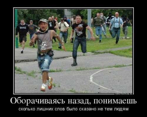 Демотиваторы-приколы (12 шт)
