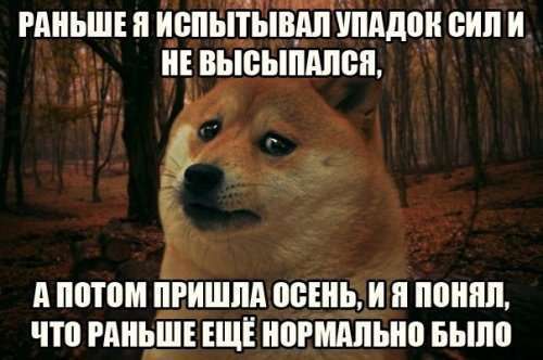 Весёлые анекдоты в конце рабочей недели (20 шт)
