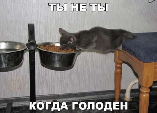 Снова прикольные фотомемы (24 шт)