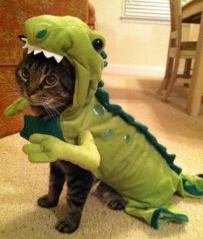 Кошки в костюмах динозавров (10 фото)