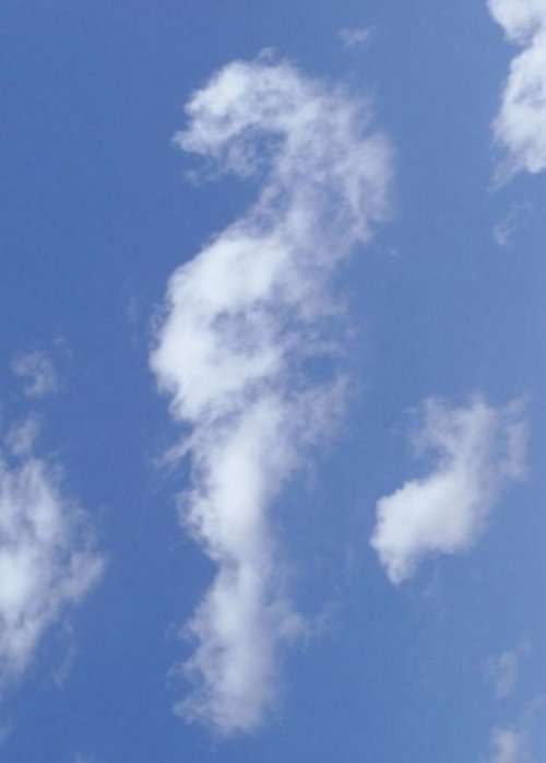 Облака в виде животных (10 фото)