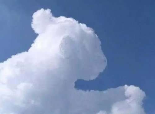 Облака в виде животных (10 фото)