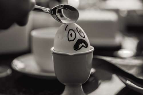 Забавные яйца в фотографиях Фелисити Берклиф (10 фото)