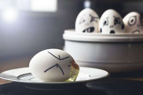 Забавные яйца в фотографиях Фелисити Берклиф (10 фото)