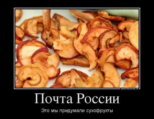 Прикольные демотиваторы в пятницу (12 шт)