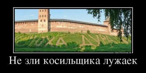 Свежие демотиваторы-приколы (14 шт)