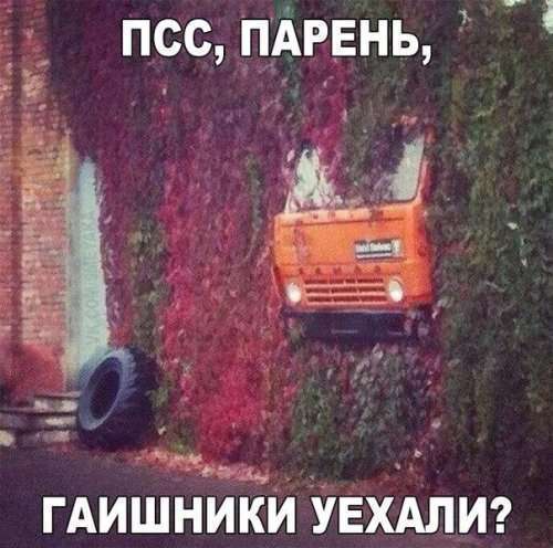 Фотоприколы на автотематику для хорошего настроения (31 шт)