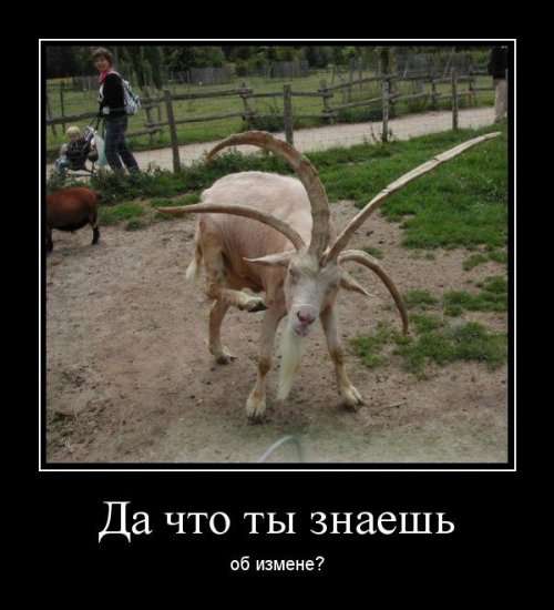 Немного прикольных демотиваторов (12 шт)