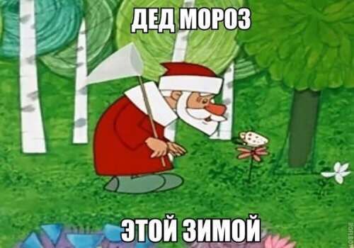 Новые анекдоты на любой вкус (13 шт)