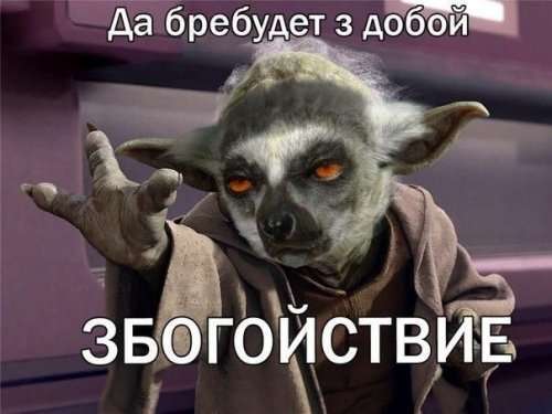 Новые анекдоты (15 шт)