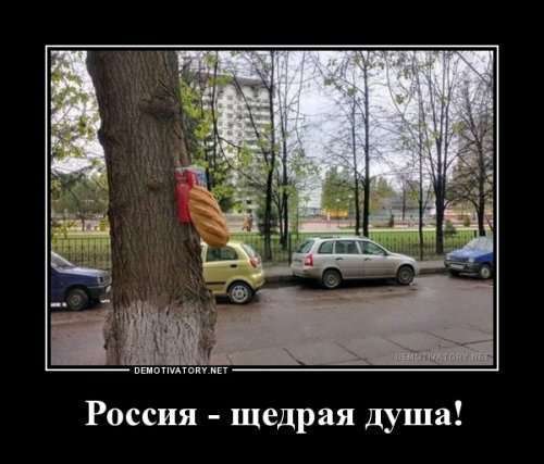 Немного прикольных демотиваторов (14 шт)