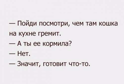 Свежие анекдоты (11 шт)