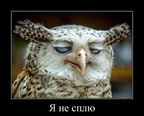 Новая коллекция демотиваторов (12 шт)