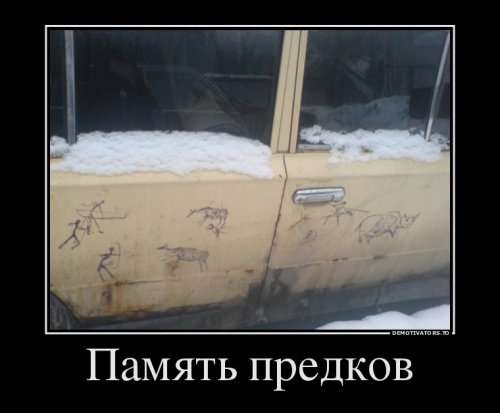 Прикольные демотиваторы (19 фото)