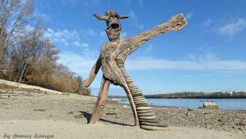 Деревянные скульптуры, созданные из того, что прибило к берегу (16 фото)