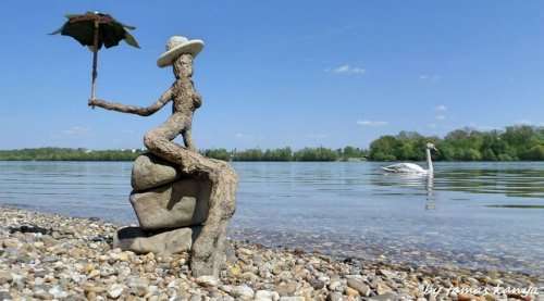Деревянные скульптуры, созданные из того, что прибило к берегу (16 фото)
