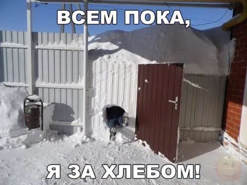 Новые анекдоты для настроения (10 шт)