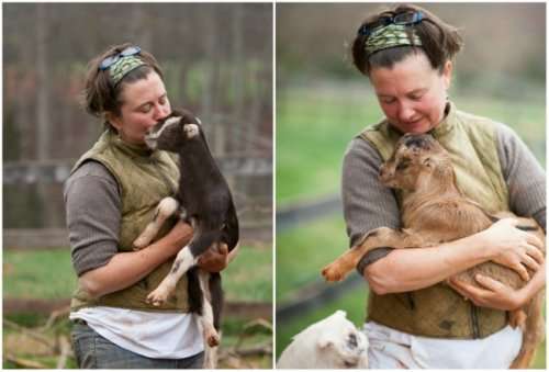 Ферма объявила о наборе добровольцев-нянек для новорождённых козлят (5 фото)