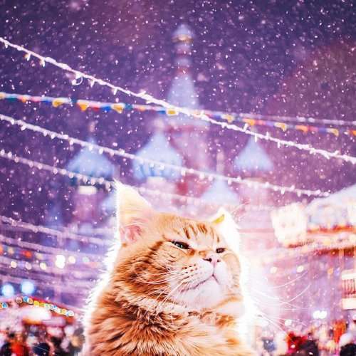 Новогодняя Москва в фотографиях Кристины Макеевой (17 фото)