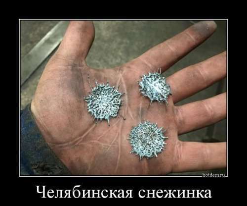 Свежие демотиваторы (19 шт)