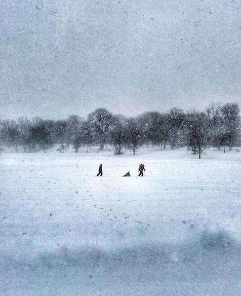 Нью-Йорк под снегом (31 фото)