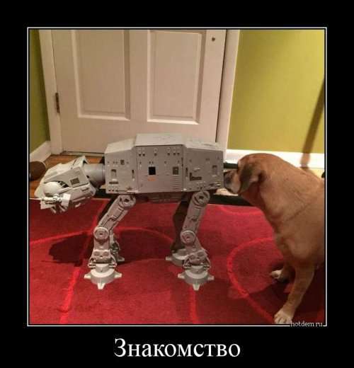 Свежие прикольные демотиваторы (14 шт)