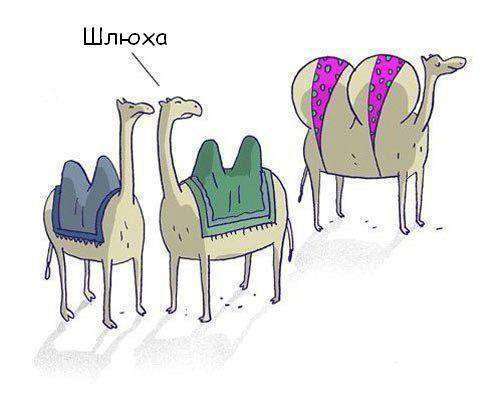 Свежая подборка фото приколов (36 шт)