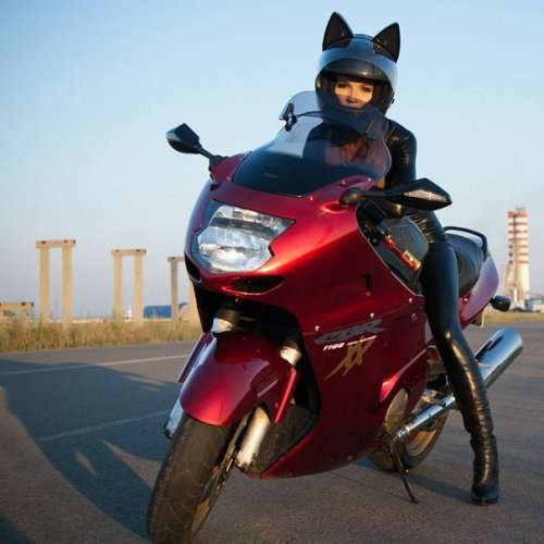 Мотоциклетные шлемы для любителей котиков (8 фото)