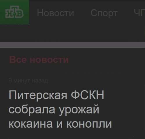Такие заголовки нарочно не придумаешь (13 фото)