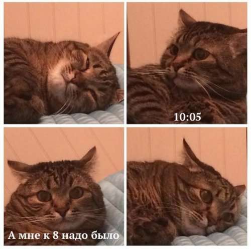 Анекдоты посмеяться (15 шт)