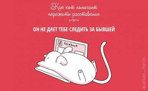 Убедительные причины завести кота после расставания (10 фото) Убедительные причины завести кота после расставания (10 фото)