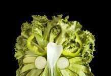 Рослинні портрети в проекті Свіжі обличчя Емілі Драйден (10 фото)