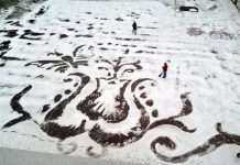 Сніг, який надихає на творчість (7 фото)