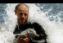 В уругваї врятували крихітного дельфінятка