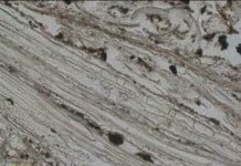 Найдавніший матрац у світі