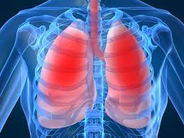 УЗД легень і плеври | Медичний центр "Здорова сім'я" | Луцьк