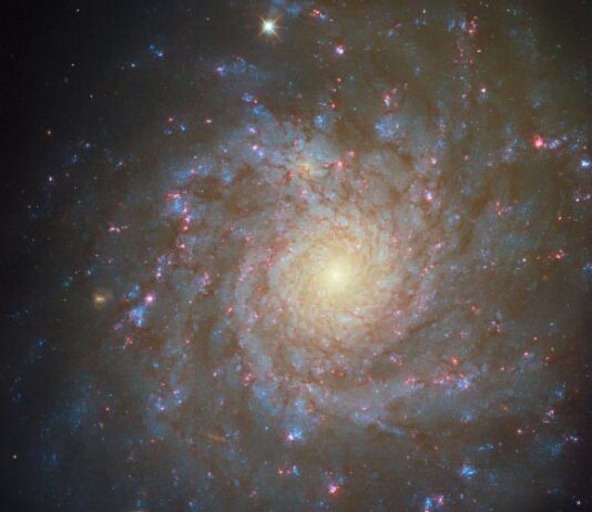 Космічний телескоп Hubble зробив приголомшливий новий вид на NGC 4571