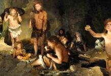 45 000-річний фрагмент кістки неандертальця розкриває далекі зв’язки в Євразії