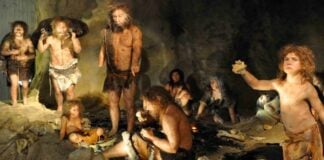 45 000-річний фрагмент кістки неандертальця розкриває далекі зв’язки в Євразії