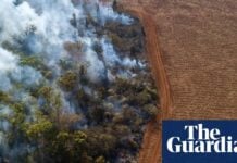 Revisited: Як врятувати Amazon, перший епізод: ставки – подкаст