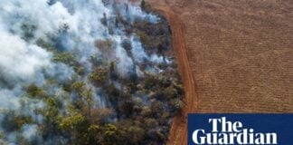 Revisited: Як врятувати Amazon, перший епізод: ставки – подкаст