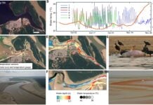 Озёра Амазонки превращаются в смертельные ловушки: беспрецедентная волна жары уничтожает тысячи водных животных