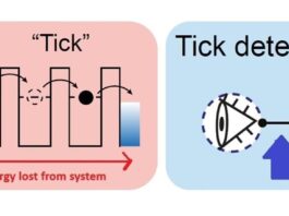 Квантове вимірювання часу: вартість читання перевищує роботу