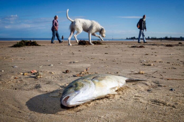 89f5c0a5-2e00-4f8f-ae15-a2c151337491